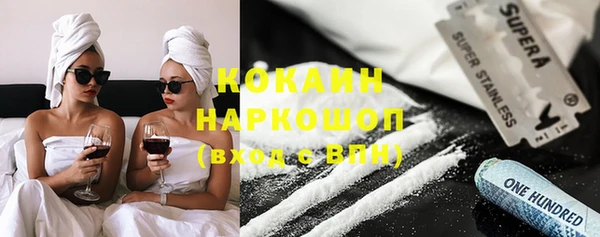 ECSTASY Бородино