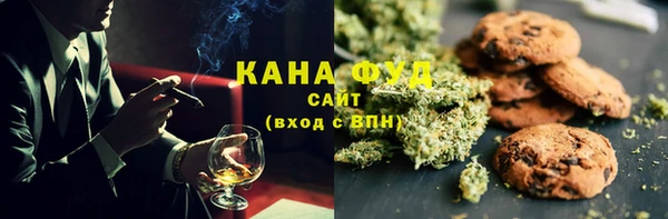 мдпв Бронницы