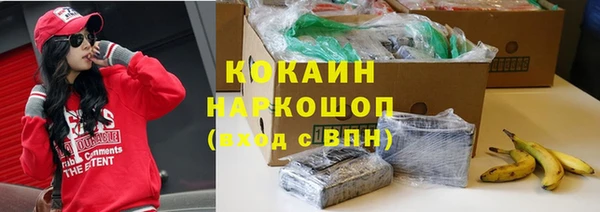 ECSTASY Бородино