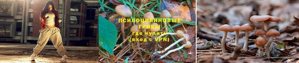 ECSTASY Бородино