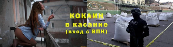 ECSTASY Бородино