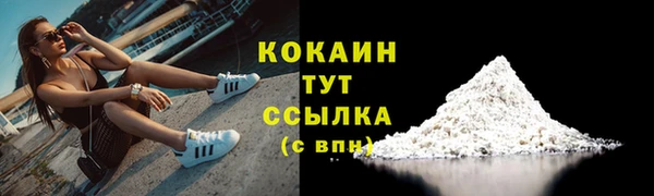 ECSTASY Бородино