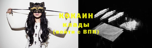 мдпв Бронницы