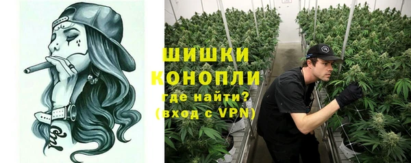мдпв Бронницы