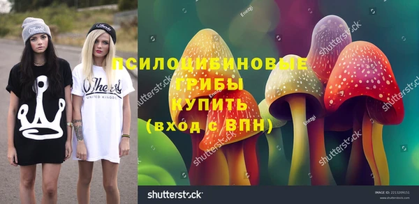 мдпв Бронницы