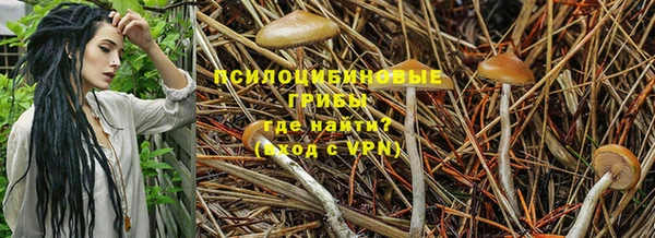 ECSTASY Бородино