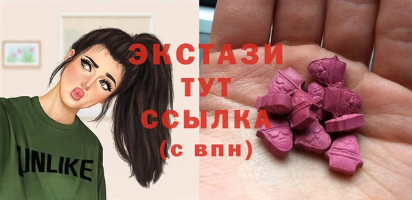 ECSTASY Бородино